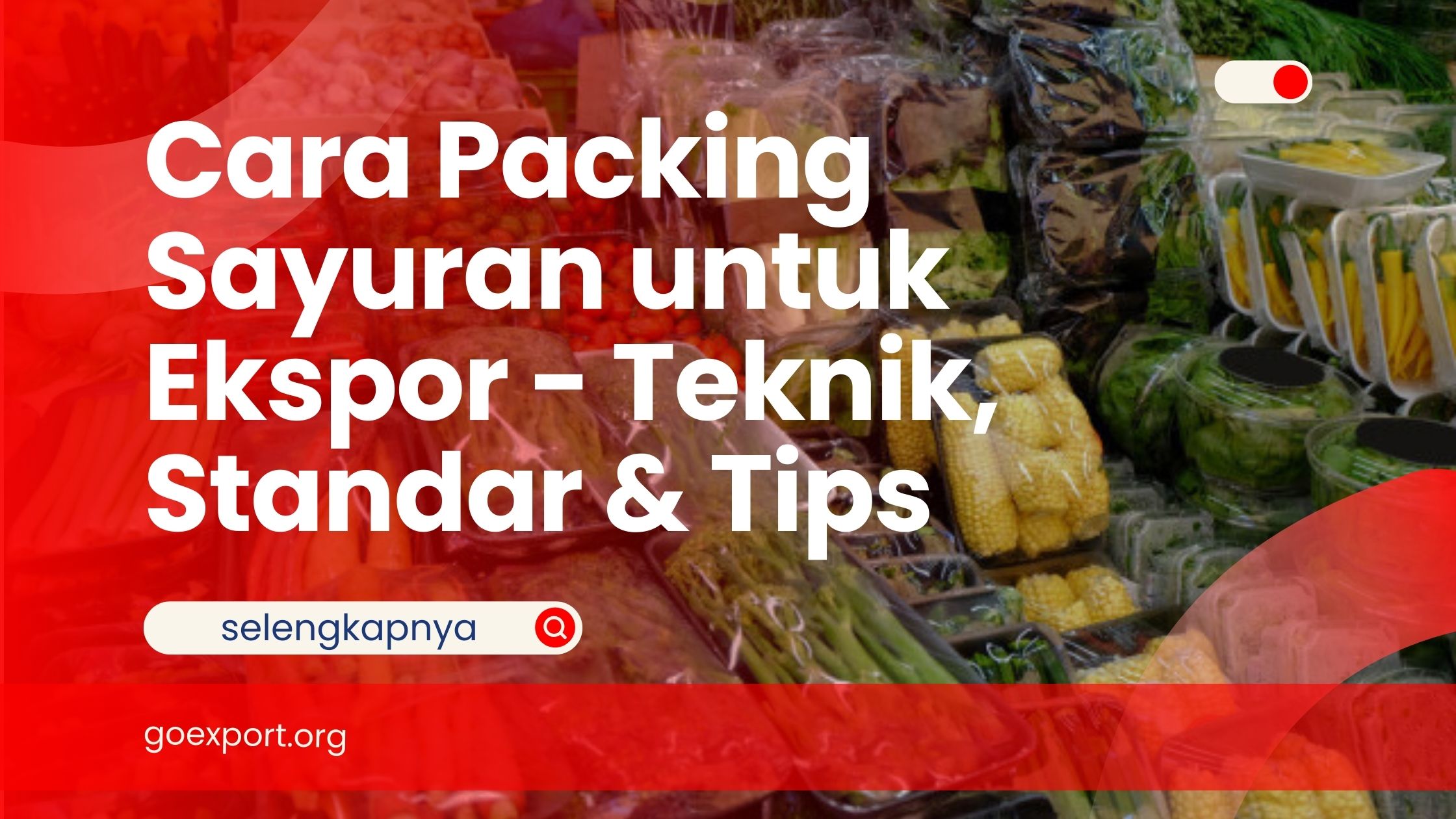 Cara Packing Sayuran untuk Ekspor – Teknik, Standar & Tips