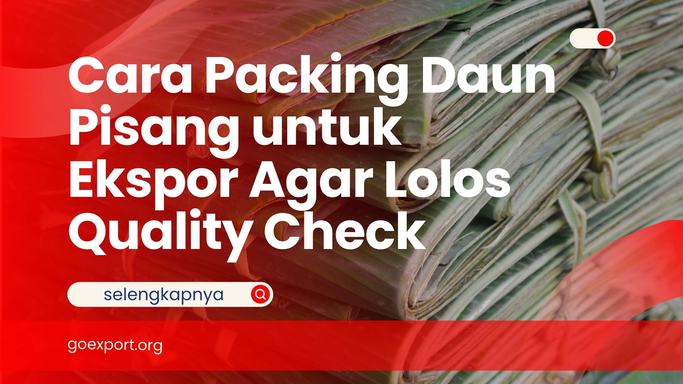 Cara Packing Daun Pisang untuk Ekspor Agar Lolos Quality Check