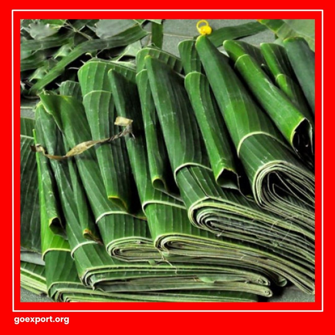 Cara Packing Daun Pisang untuk Ekspor