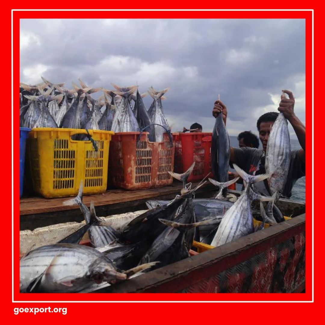 Cara Ekspor Ikan Nila