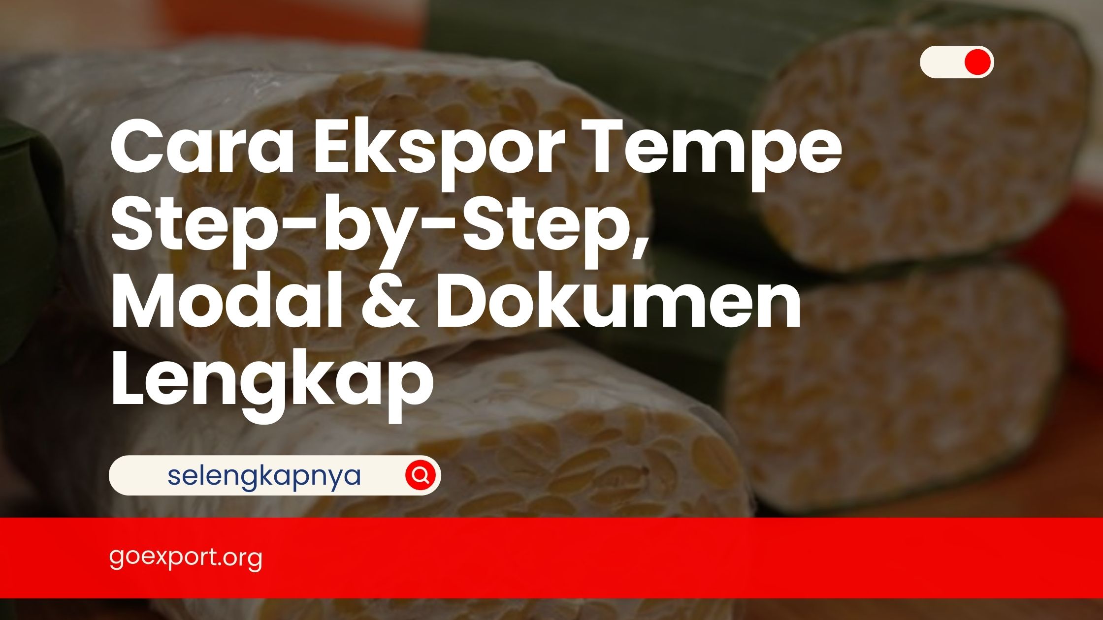 Cara Ekspor Tempe Step-by-Step, Modal & Dokumen Lengkap