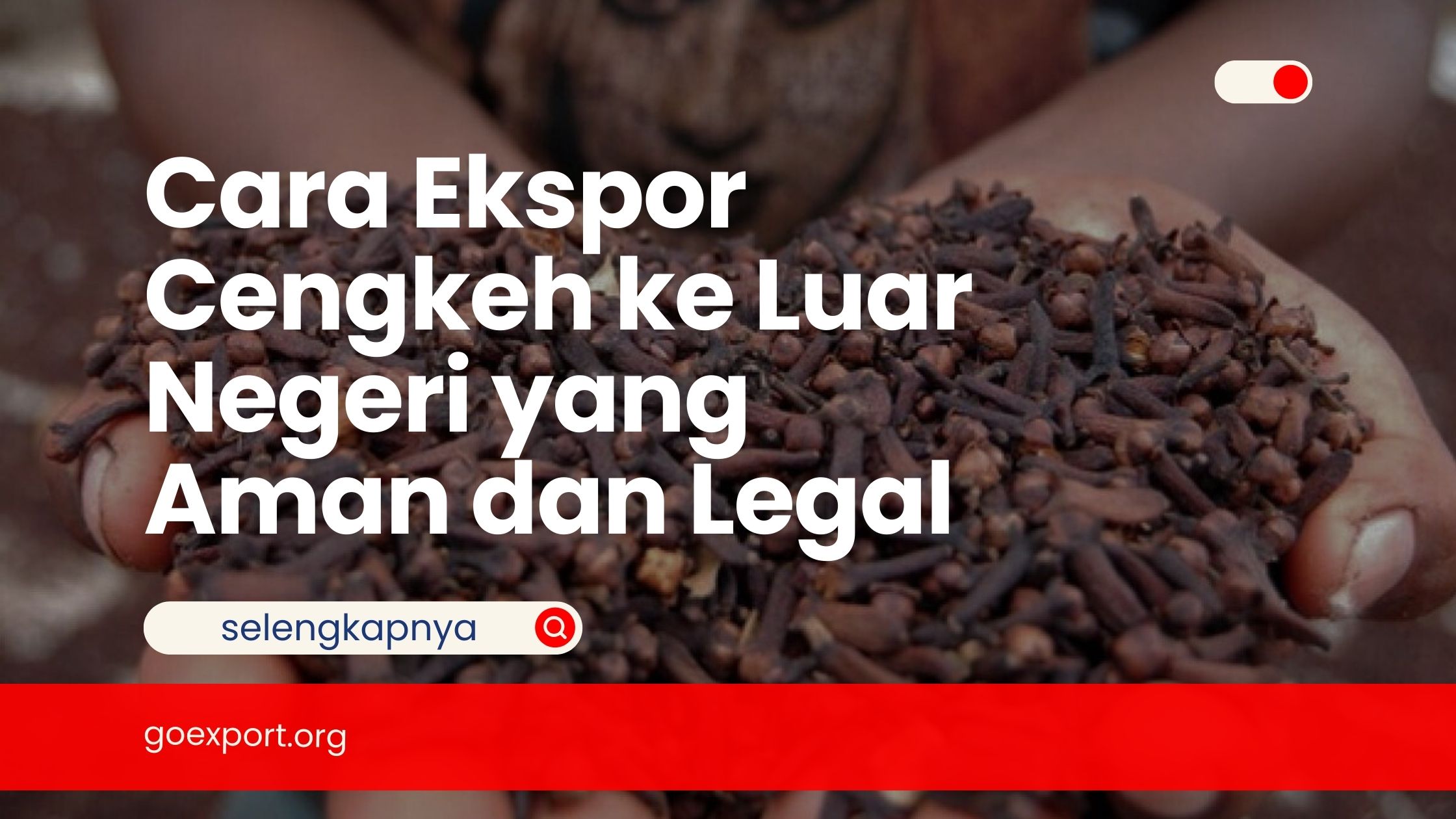 Cara Ekspor Cengkeh ke Luar Negeri yang Aman dan Legal