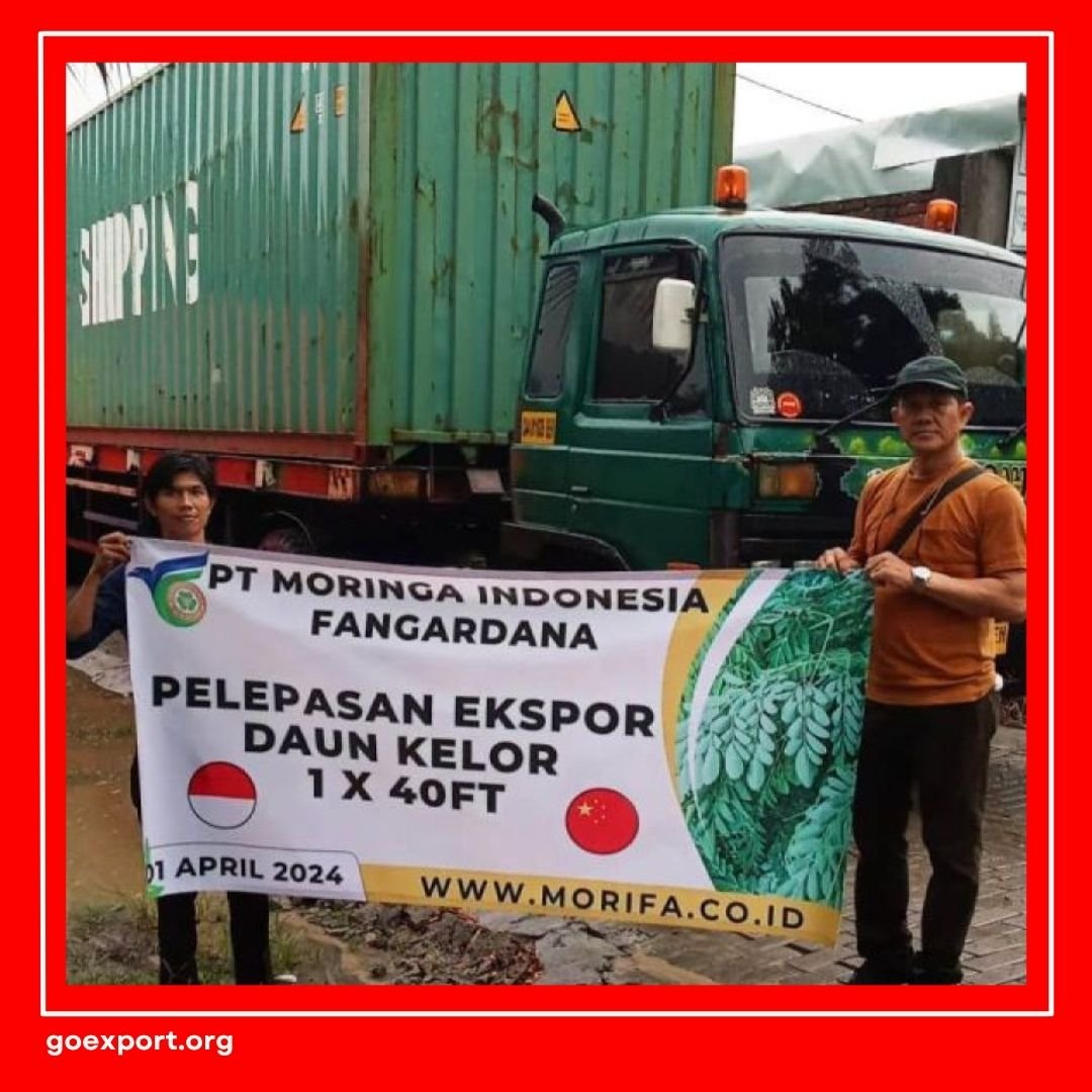 Cara Ekspor Daun Kelor