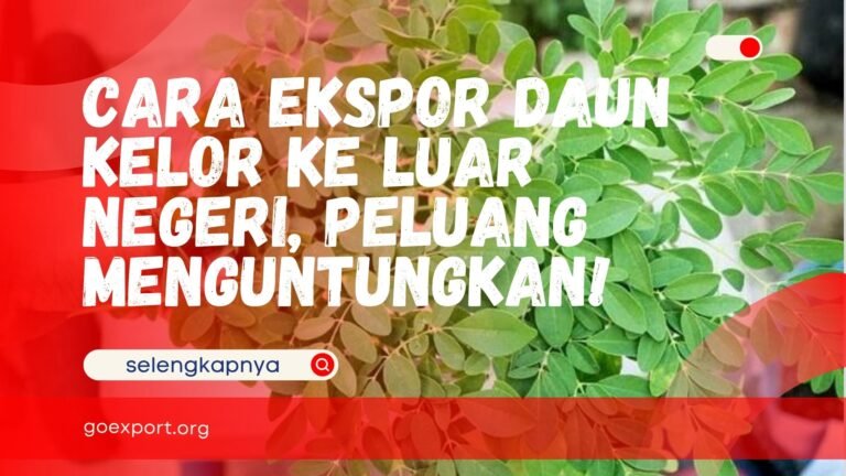Cara Ekspor Daun Kelor ke Luar Negeri, Peluang Menguntungkan! Cara Ekspor Daun Kelor