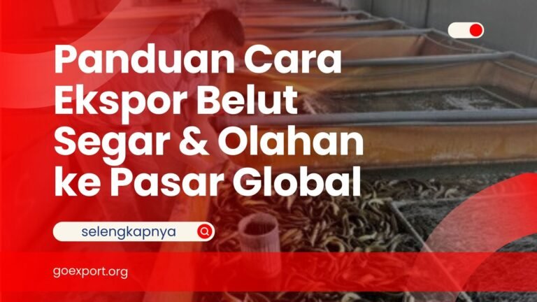 Panduan Cara Ekspor Belut Segar & Olahan ke Pasar Global Cara Ekspor Belut