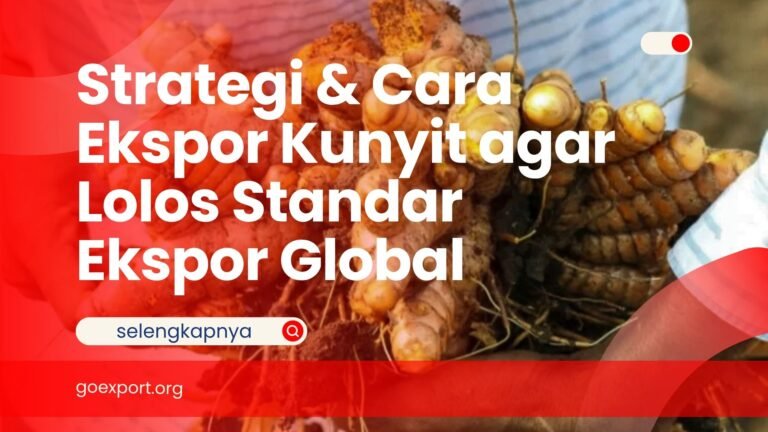 Strategi & Cara Ekspor Kunyit agar Lolos Standar Ekspor Global Cara Ekspor Kunyit