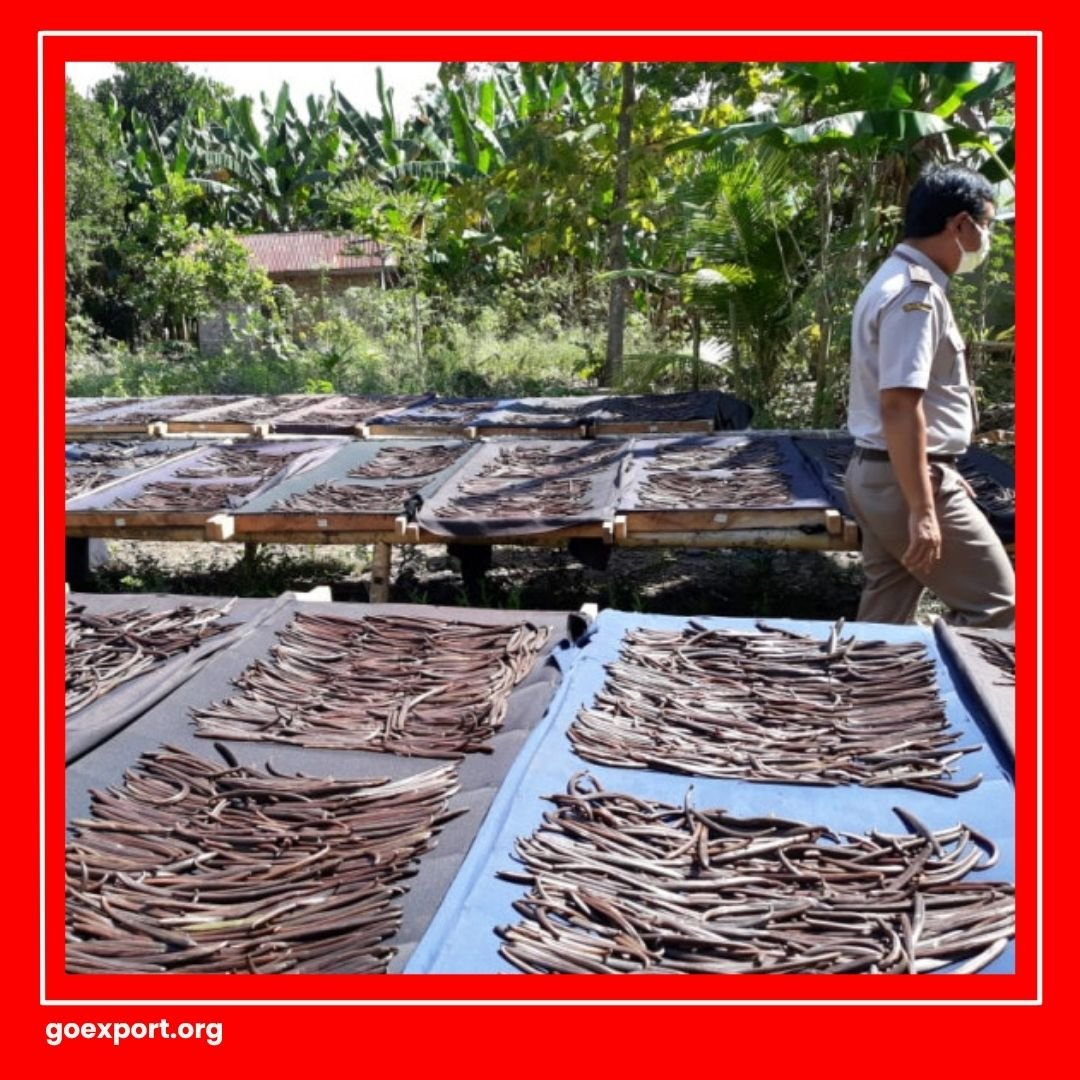 Cara Ekspor Vanili
