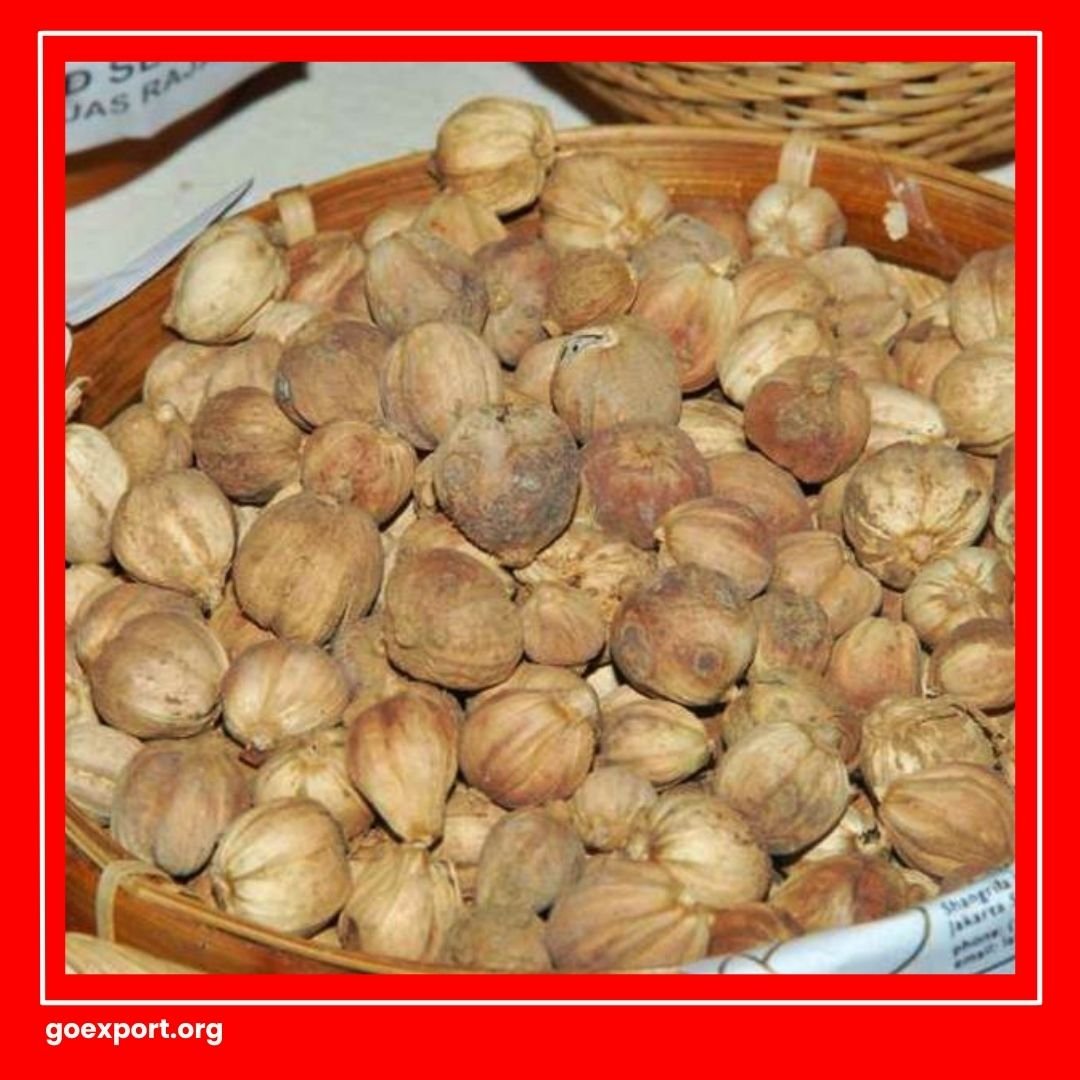 Cara Ekspor Kapulaga