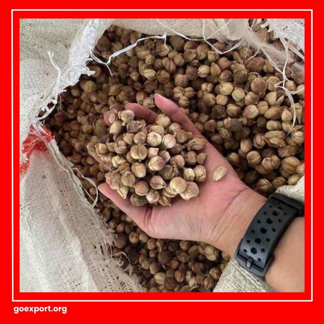 Cara Ekspor Kapulaga