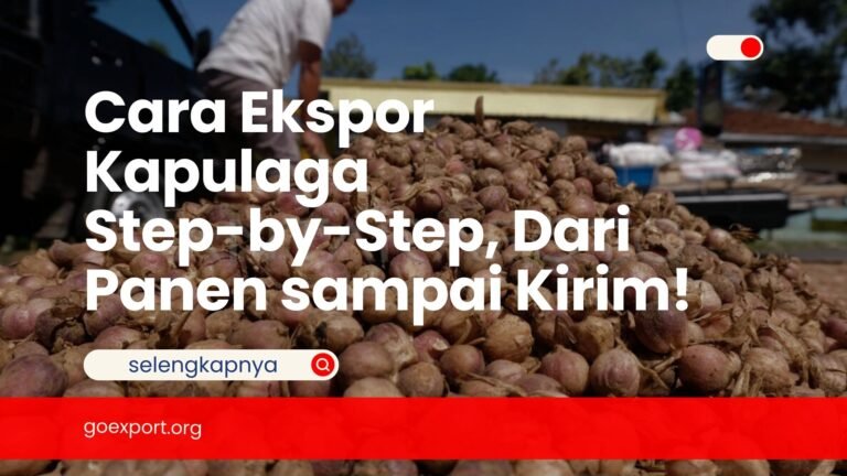 Cara Ekspor Kapulaga Step-by-Step, Dari Panen sampai Kirim! Cara Ekspor Kapulaga