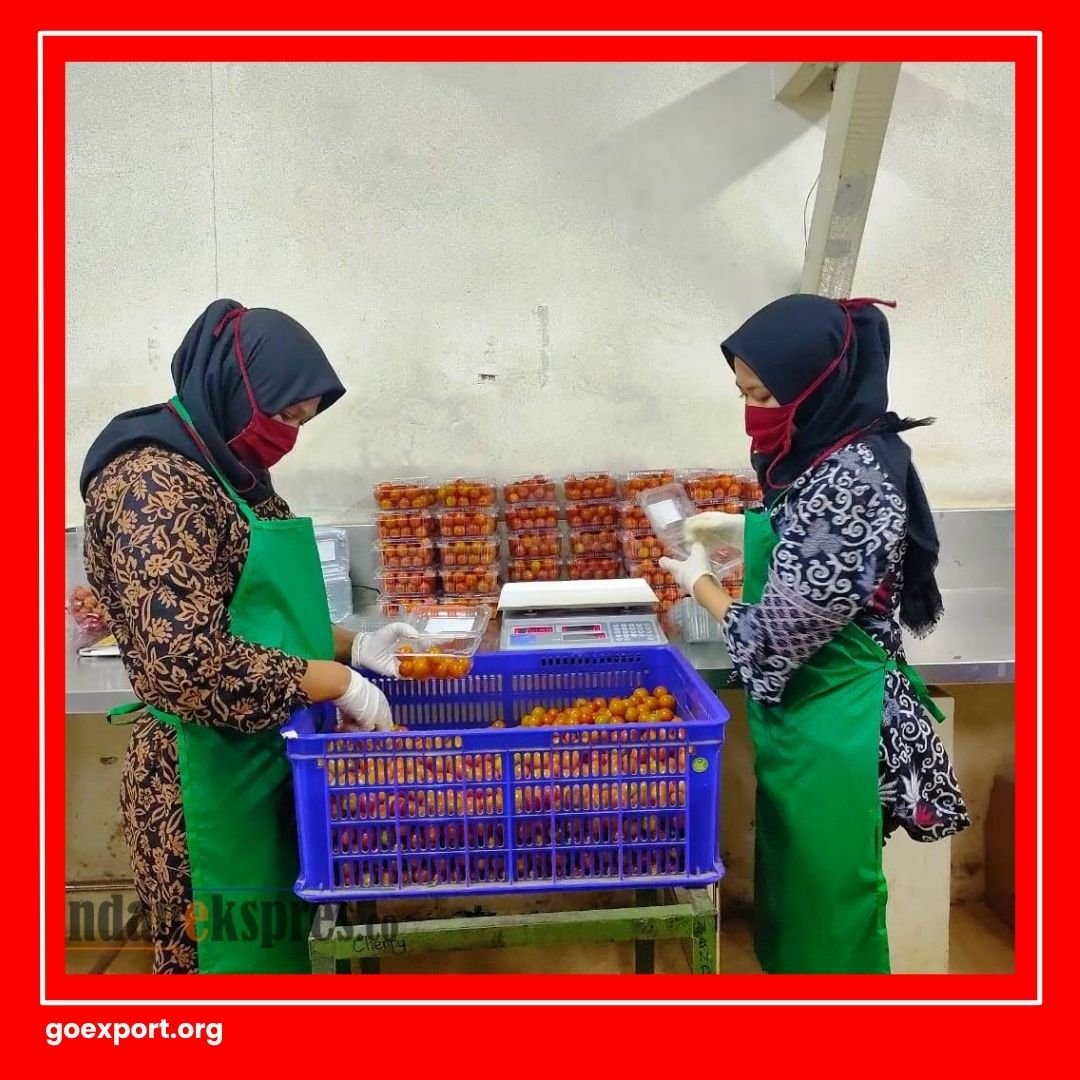 Cara Packing Sayuran untuk Ekspor