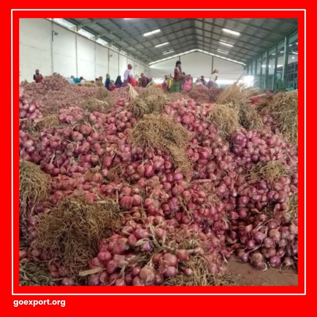 Cara Ekspor Bawang Merah
