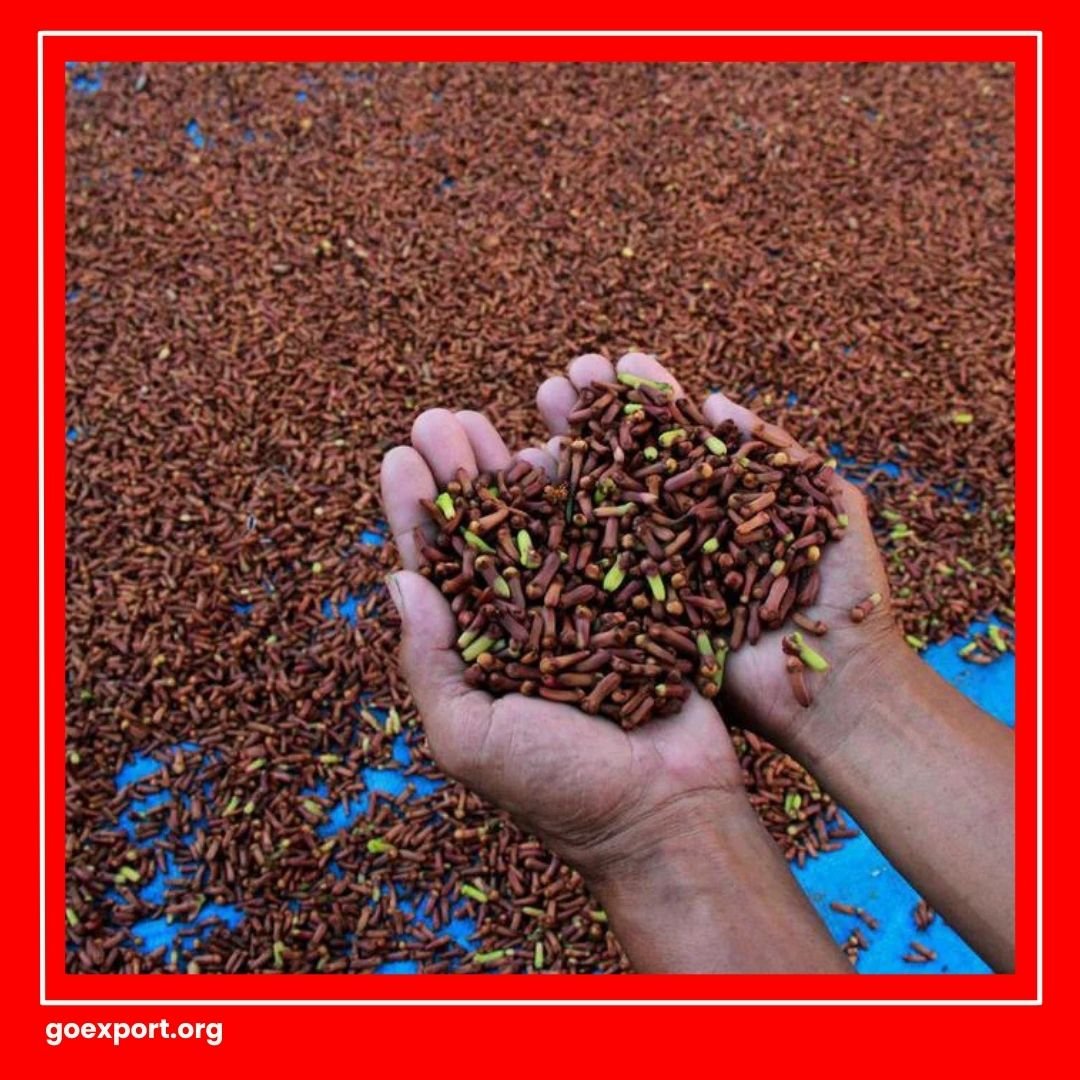 Cara Ekspor Cengkeh ke Luar Negeri