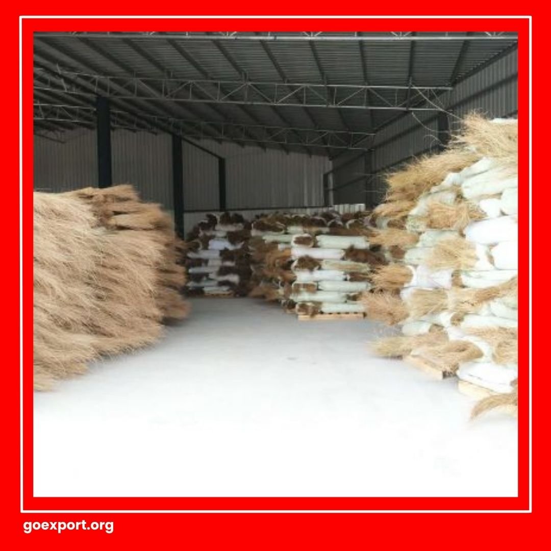 Cara Ekspor Lidi Sawit