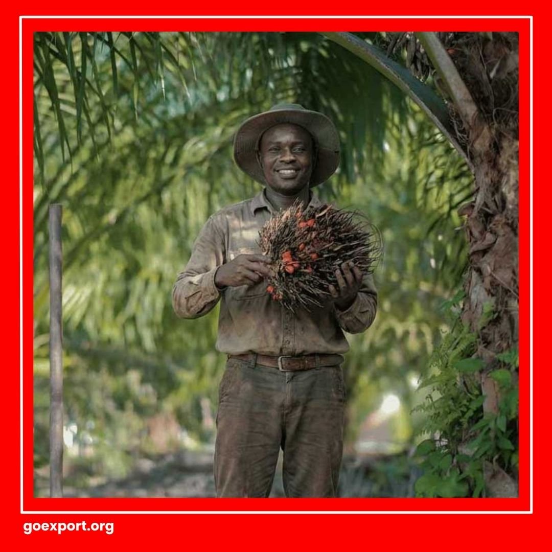 Ekspor Produk Sawit Naik